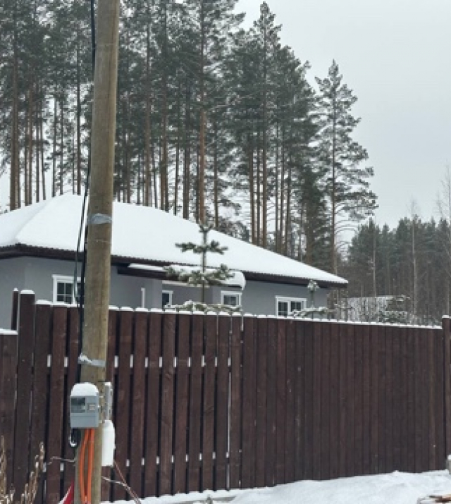 IMG_4223 5.jpeg